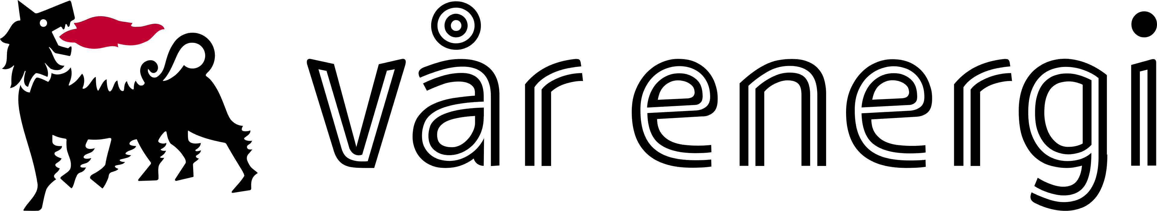 Vår Energi